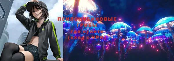 дурь Аркадак