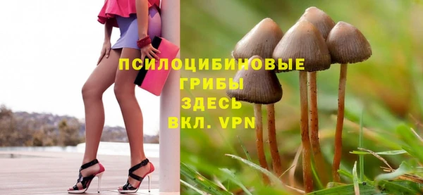 хмурый Армянск