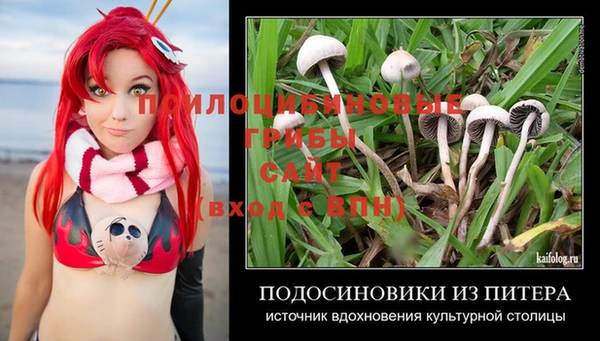 PSILOCYBIN Арсеньев