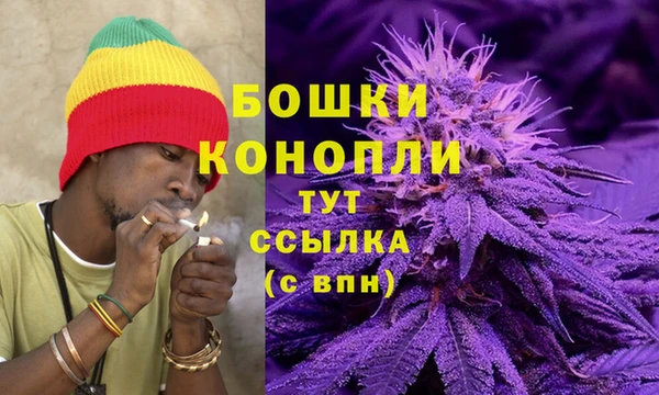 PSILOCYBIN Арсеньев